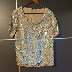 Pleione Silver Gold Sequin Short Sleeve Blouse